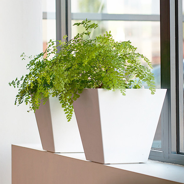 GRC Material Modern Design Durable Weather-Resistant UV-Resistant Lightweight Planter Indoor and Outdoor